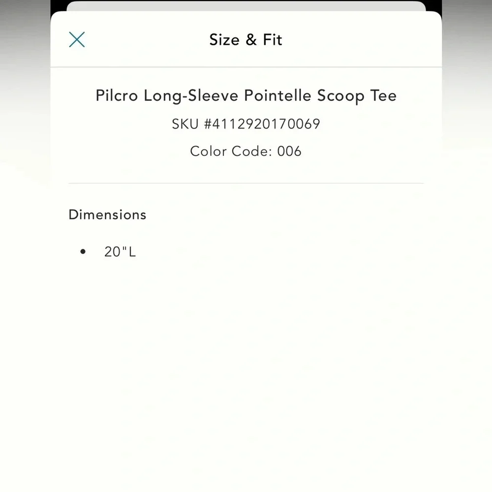 Anthropologie Pilcro Long-Sleeve Pointelle Scoop Tree - XL - Picture 6 of 9